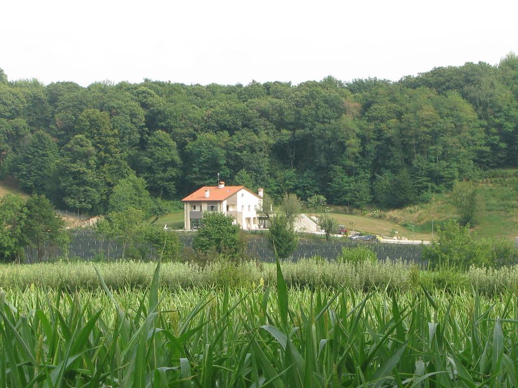 Agriturismo Casamela Paderno del Grappa Extérieur photo